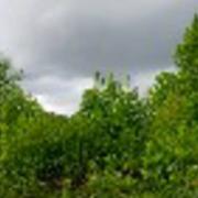 Montigny-lès-Cherlieu 13/05/2017