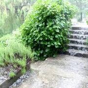 Amélie-les-Bains-Palalda 13/05/2017