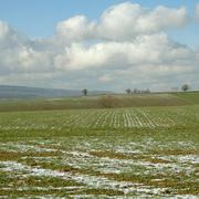 Neuvy-Deux-Clochers 01/02/2010