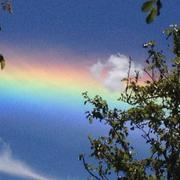 Réquista 15/05/2017