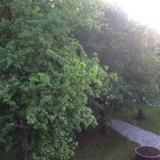 Champagnole 24/05/2017