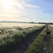 Béthines 25/05/2017