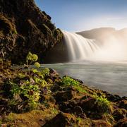 San Francisco 26/05/2017