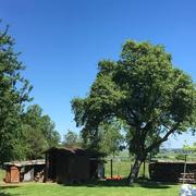 Mesnil-Verclives 26/05/2017