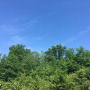 Chamouille 27/05/2017