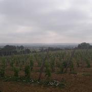 Larroque-sur-l'Osse 02/06/2017