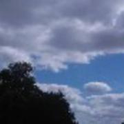 Bourgueil 07/06/2017