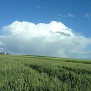 Favières 07/06/2017