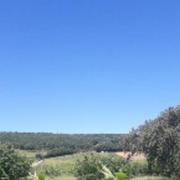 Saint-Gengoux-de-Scissé 08/06/2017