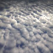 Bosc-Roger-sur-Buchy 10/06/2017