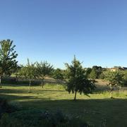 Mauves-sur-Huisne 10/06/2017