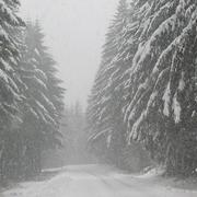 Ville-sur-Tourbe 03/02/2010