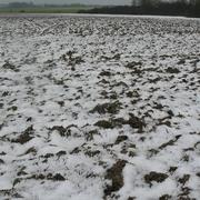 Ville-sur-Tourbe 03/02/2010