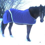 Saint-Martin-du-Mont 08/02/2010