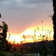 Villes-sur-Auzon 14/06/2017