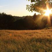 Vitrac-sur-Montane 22/06/2017