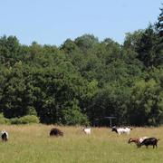 Vitrac-sur-Montane 25/06/2017
