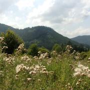 Grandfontaine 27/06/2017