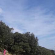 Puéchabon 27/06/2017