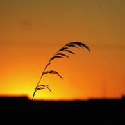 Wavrans-sur-l'Aa 27/06/2017