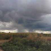 Favières 01/07/2017