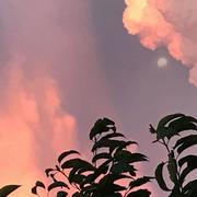 Vauciennes 06/07/2017