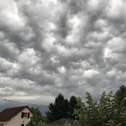 Saint-Éloi 09/07/2017