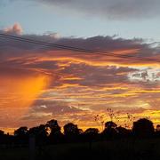 Cerisy-la-Forêt 09/07/2017