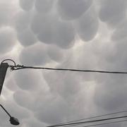 Ailly-sur-Somme 18/07/2017