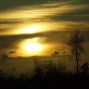 Chamesson 09/02/2010