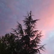 Montluçon 19/07/2017