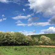 Saint-Géry 28/07/2017