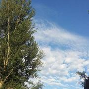 Mostuéjouls 29/07/2017