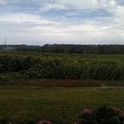 Saint-Sixte 29/07/2017