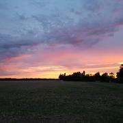 Thomer-la-Sôgne 31/07/2017