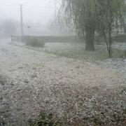 Cras-sur-Reyssouze 31/07/2017