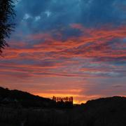 Nogent-le-Roi 31/07/2017