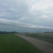 Pettonville 01/08/2017