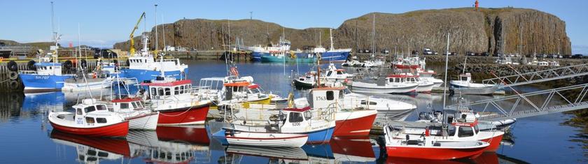 L'Islande, une destination idéale pour les amateurs de pêche
