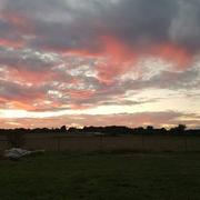 Teting-sur-Nied 03/08/2017