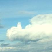 Saint-Donat-sur-l'Herbasse 11/08/2017