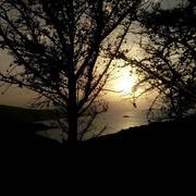 Chetaïbi 12/08/2017