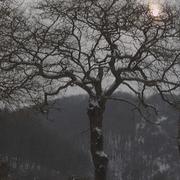 Chambonchard 12/02/2010