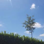 Villetoureix 17/08/2017