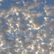 Roquefort 18/08/2017