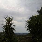 Belgodère 19/08/2017