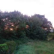 Pont-de-Buis-lès-Quimerch 22/08/2017