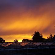 Pluguffan 22/08/2017