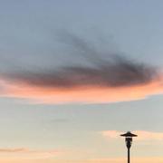 Landévant 22/08/2017