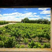 Chaudefonds-sur-Layon 28/08/2017